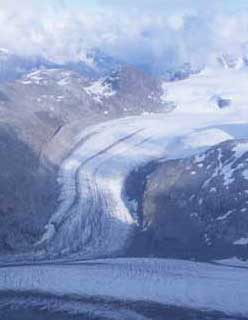 Kohne Science Trench
